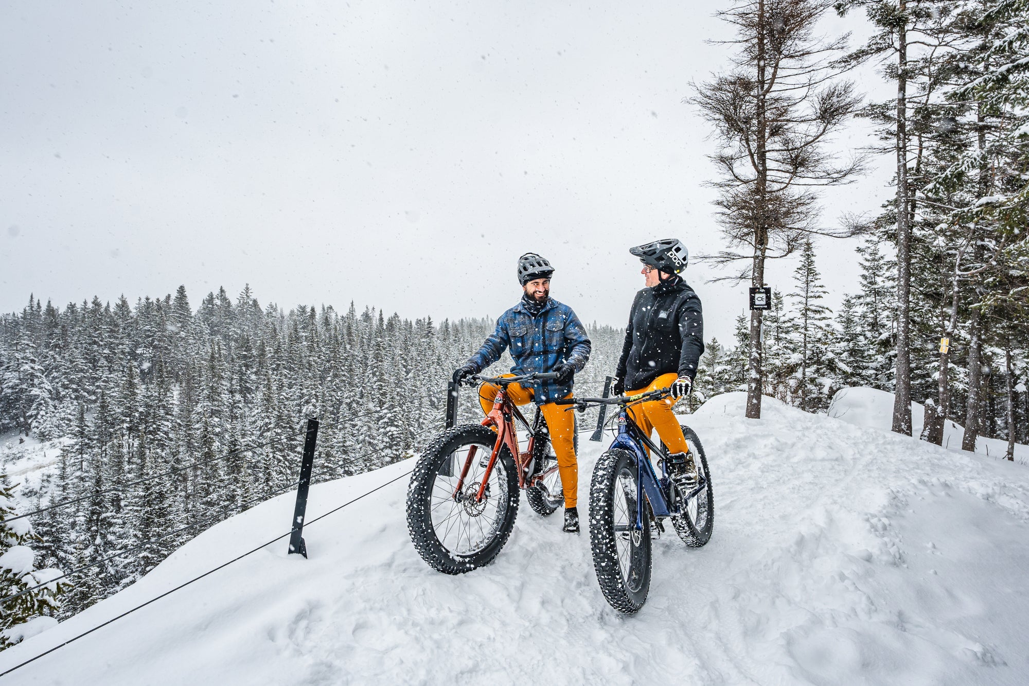 Fatbike Clearout Sale