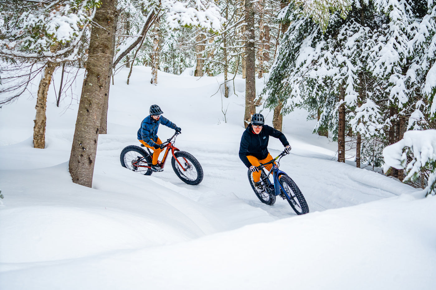 Electric Fat Bikes