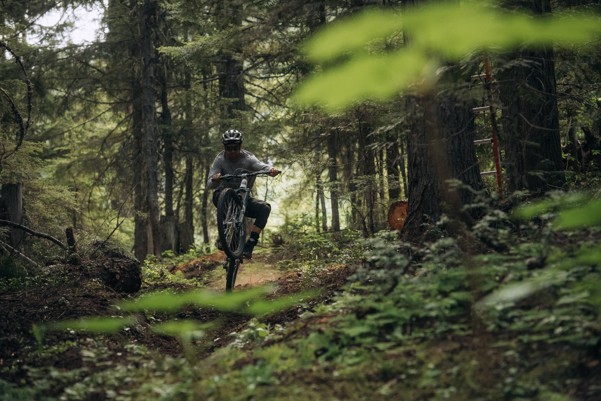 Rocky Mountain Bikes - Sale