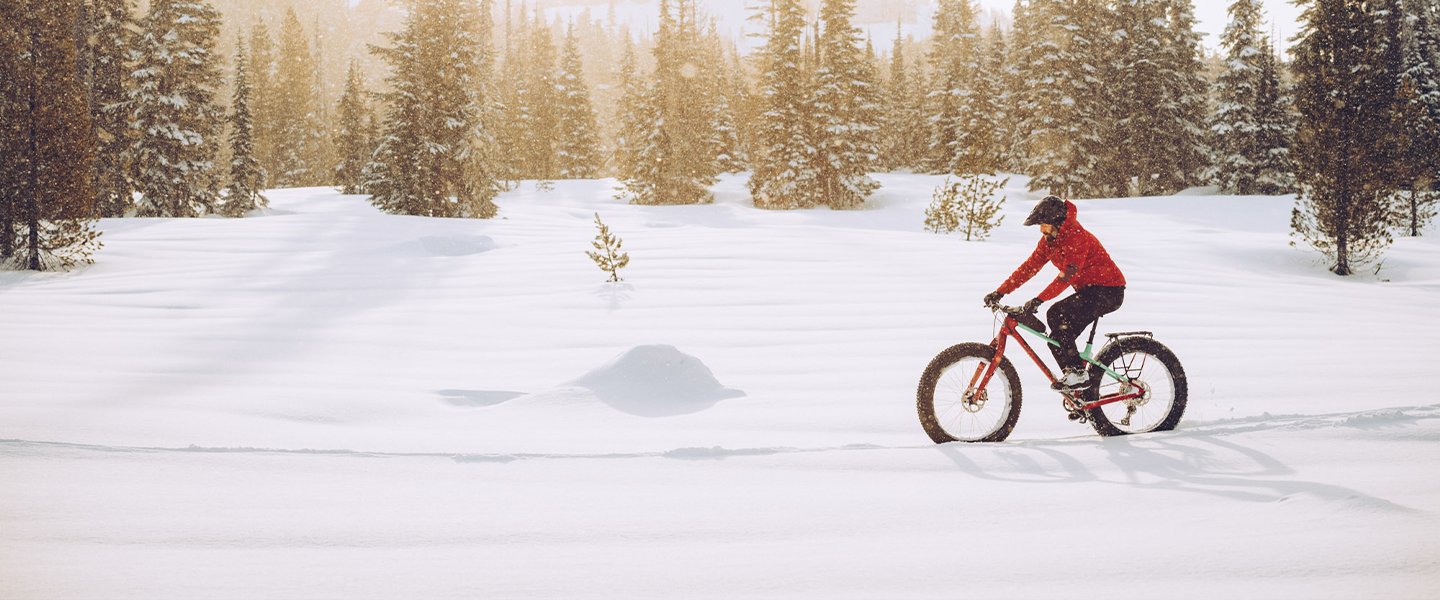 Fatbikes