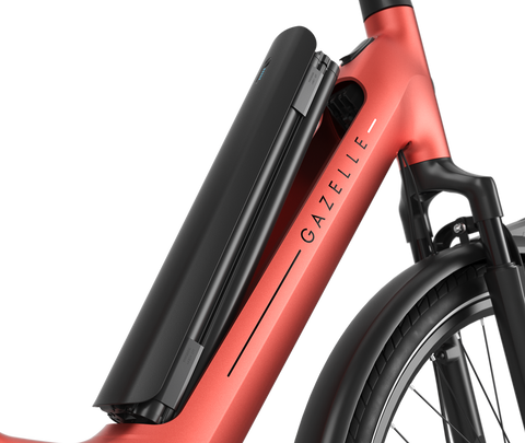 Gazelle - Arroyo C380 Elite Low Step - Image 4