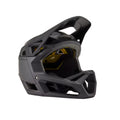 Proframe Helmet