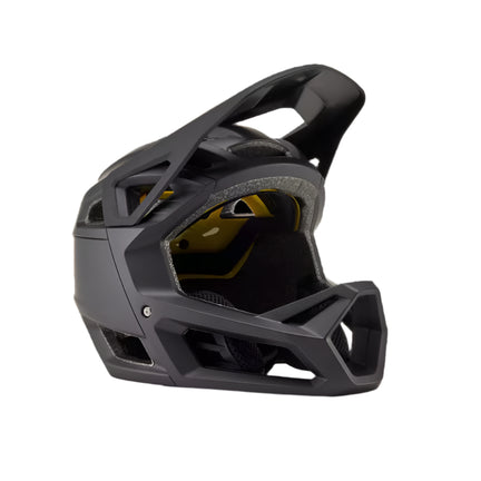 Proframe Helmet