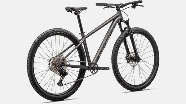 Rockhopper Expert 29