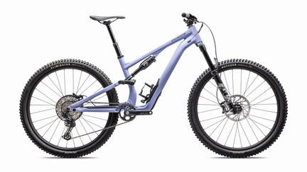 Stumpjumper 15 Comp Alloy