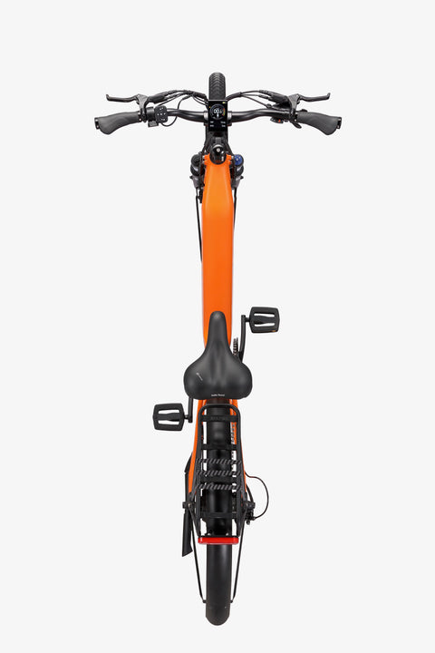 MAUI - Bronte - Image 3