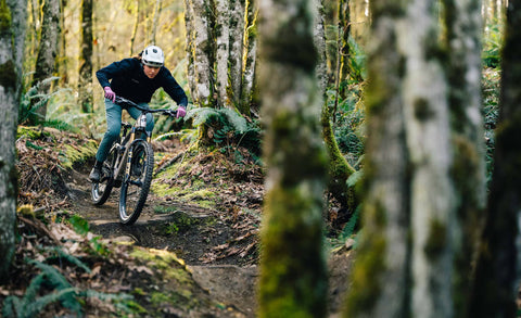 Transition - Regulator CX Eagle 70 - Image 3