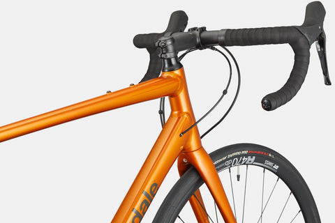 Cannondale - Synapse 2 - Image 5