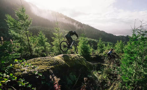Transition - Relais PNW Carbon Eagle 90 - Image 4