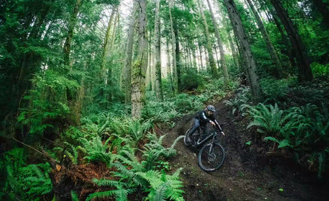 Transition - Relais PNW Carbon Eagle 90 - Image 3