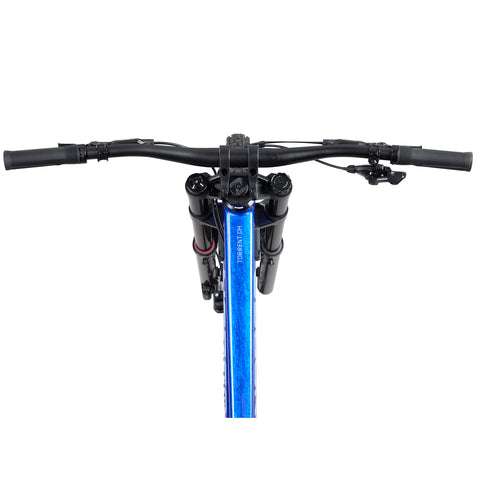 Norco - Torrent DH A1 - Image 4