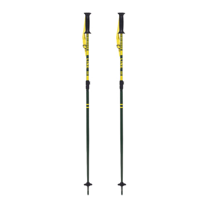 Get Up Ski Poles