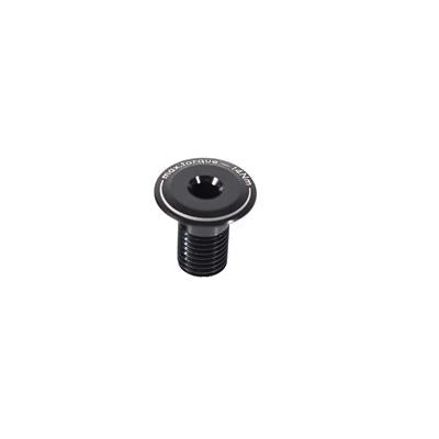 GASGAS - Gas Gas Enduro 3.0 Linkage bolt M12 JY-001