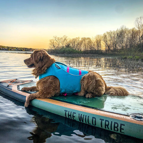 The Wild Tribe - Sequoia 11' - Inflatable Paddleboard - Image 2