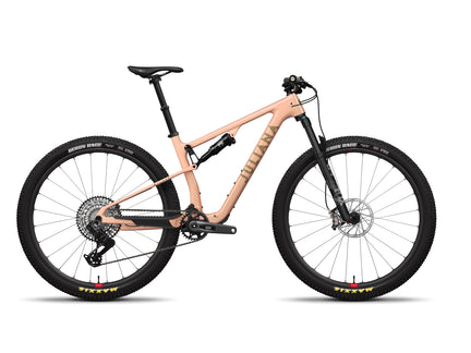 Wilder 1 C GX AXS TR RSV Gloss Palisade Peach
