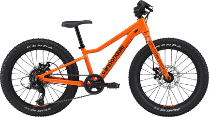 Enfants Trail Plus 20"