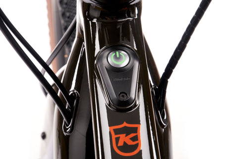Kona - 2021 Libre EL - Image 18